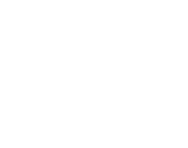 Wellbeing International Foundation